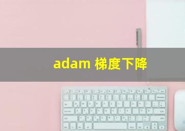 adam 梯度下降